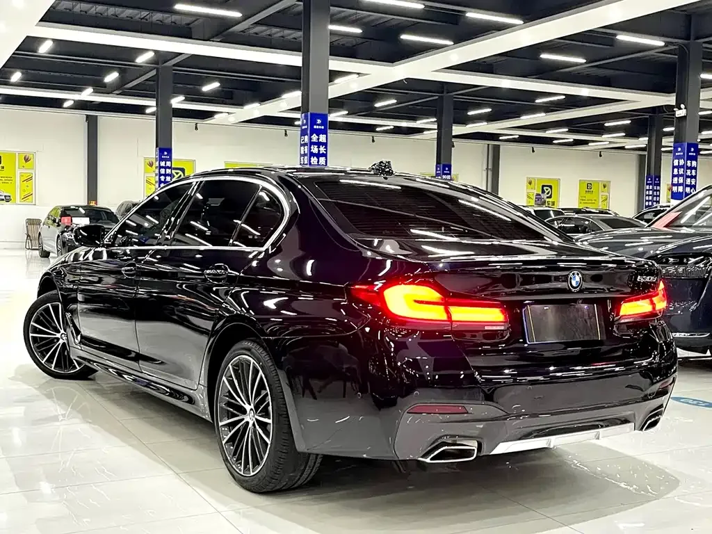BMW 5 Series 2022 из CN, фото 7