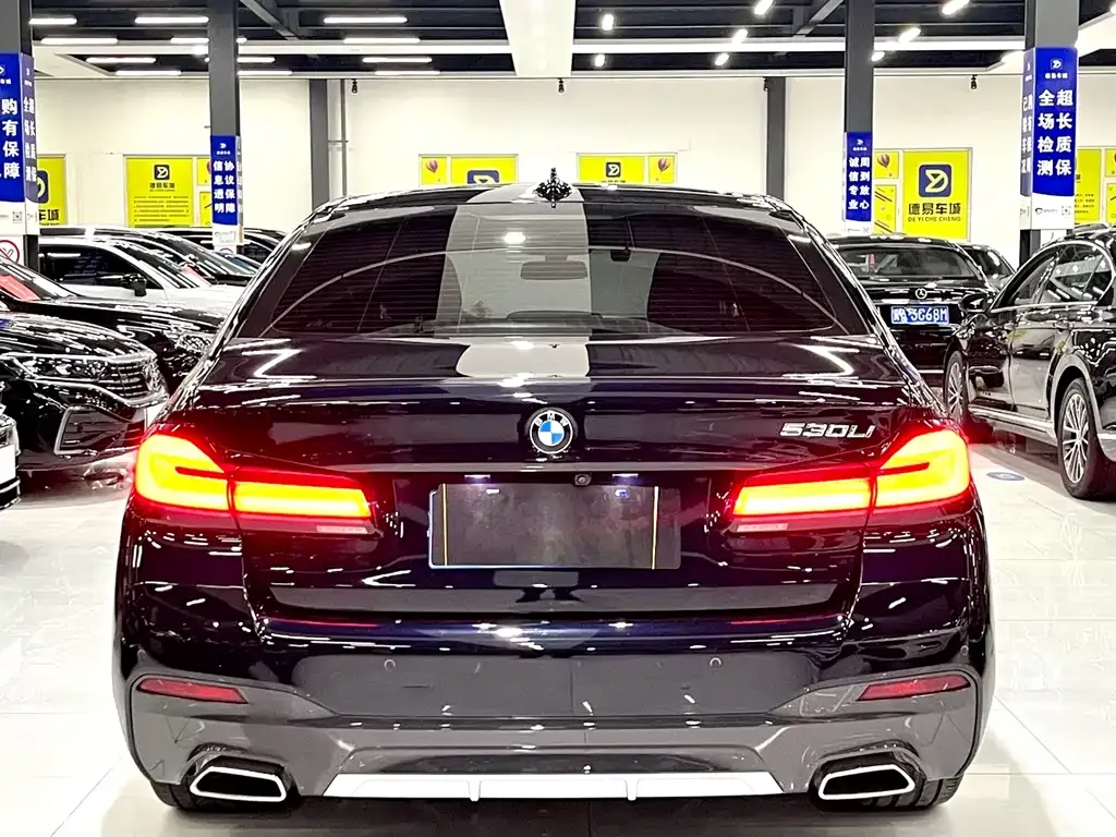 BMW 5 Series 2022 из CN, фото 8