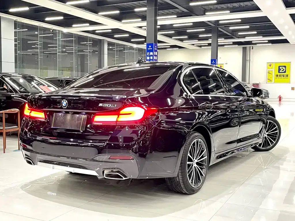 BMW 5 Series 2022 из CN, фото 9