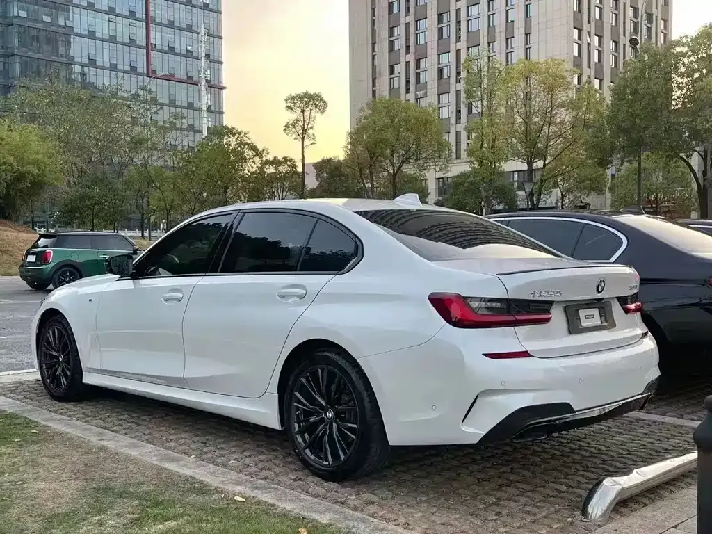 BMW 3 Series 2022 из CN, фото 8
