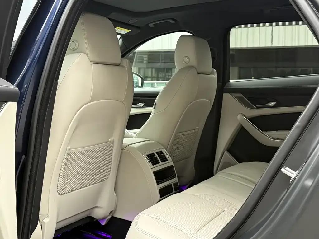 Jaguar F-PACE 2021 из CN, фото 9