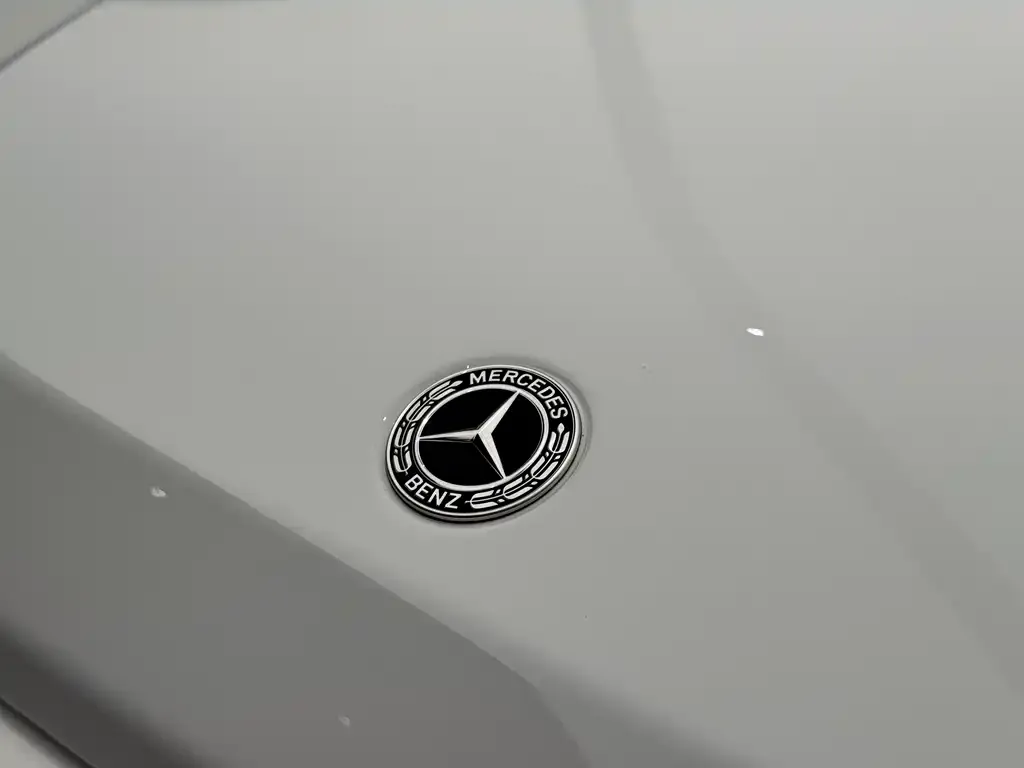 Mercedes-Benz G-Class 2021 из CN, фото 9