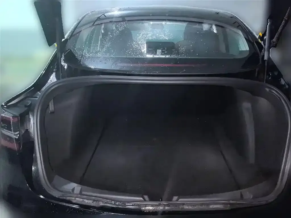 Tesla Model 3 2021 из CN, фото 10