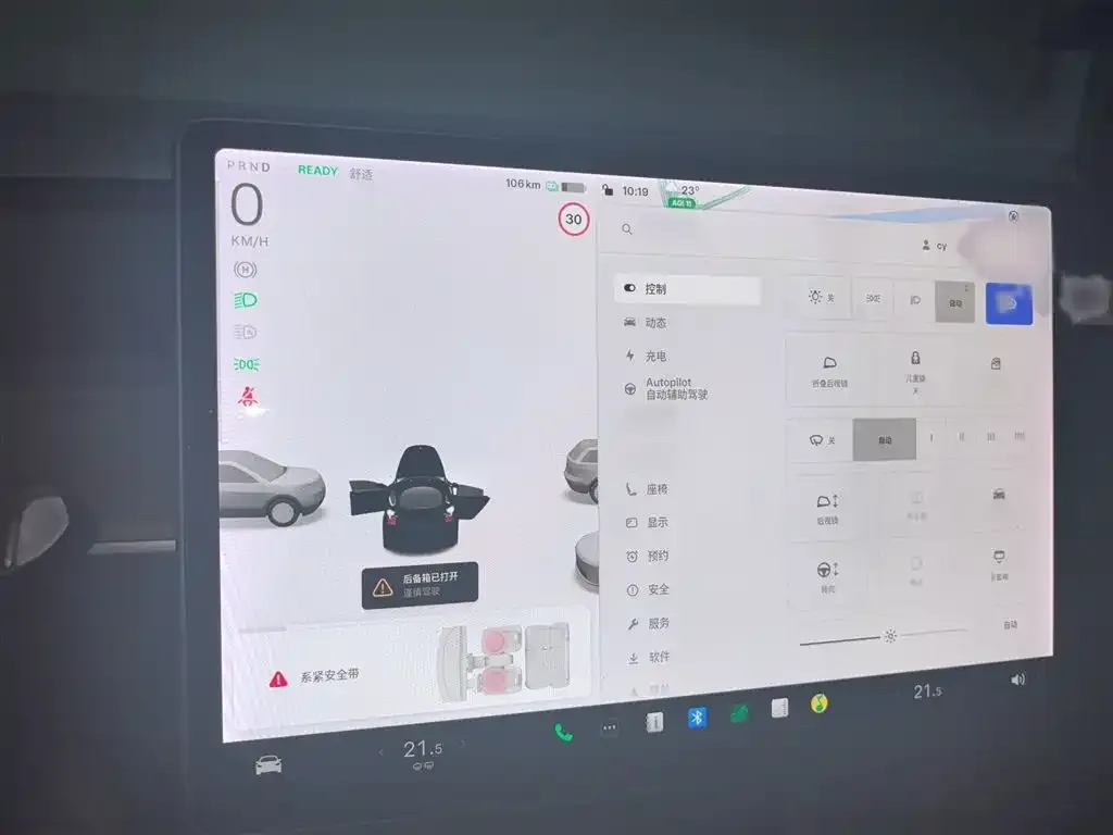 Tesla Model 3 2021 из CN, фото 4