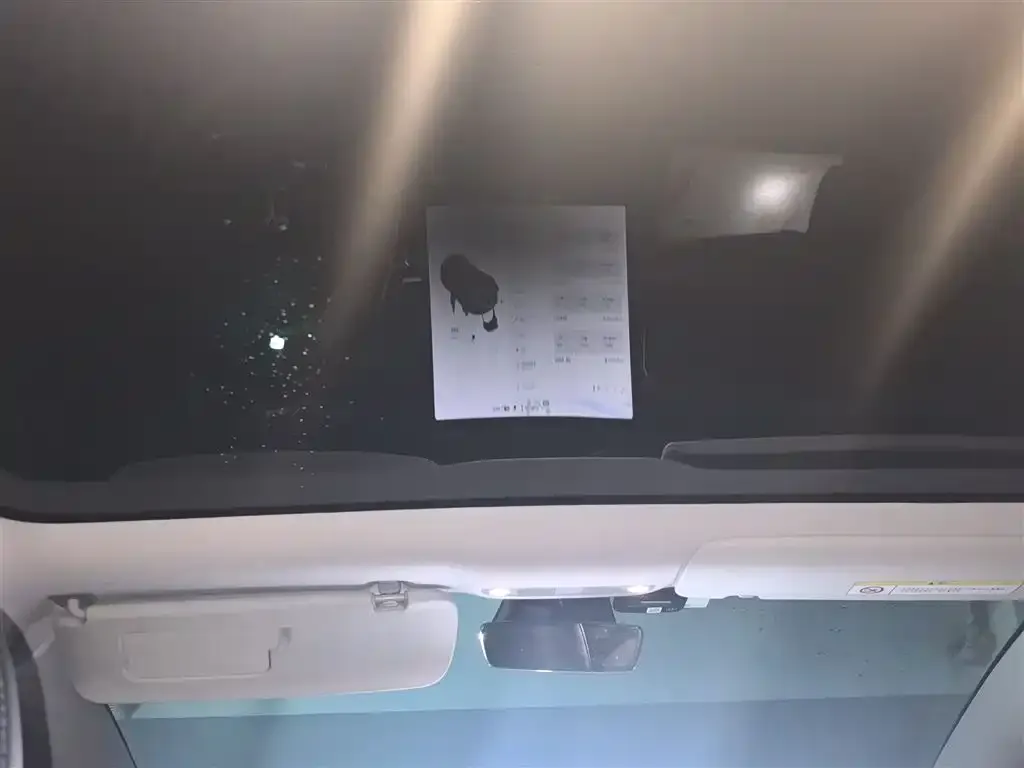 Tesla Model 3 2021 из CN, фото 9