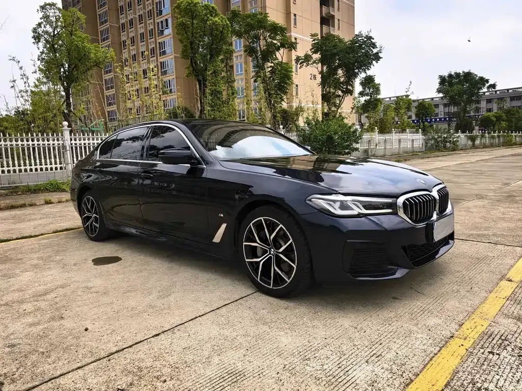 BMW 5 Series 2021 из CN, фото 3