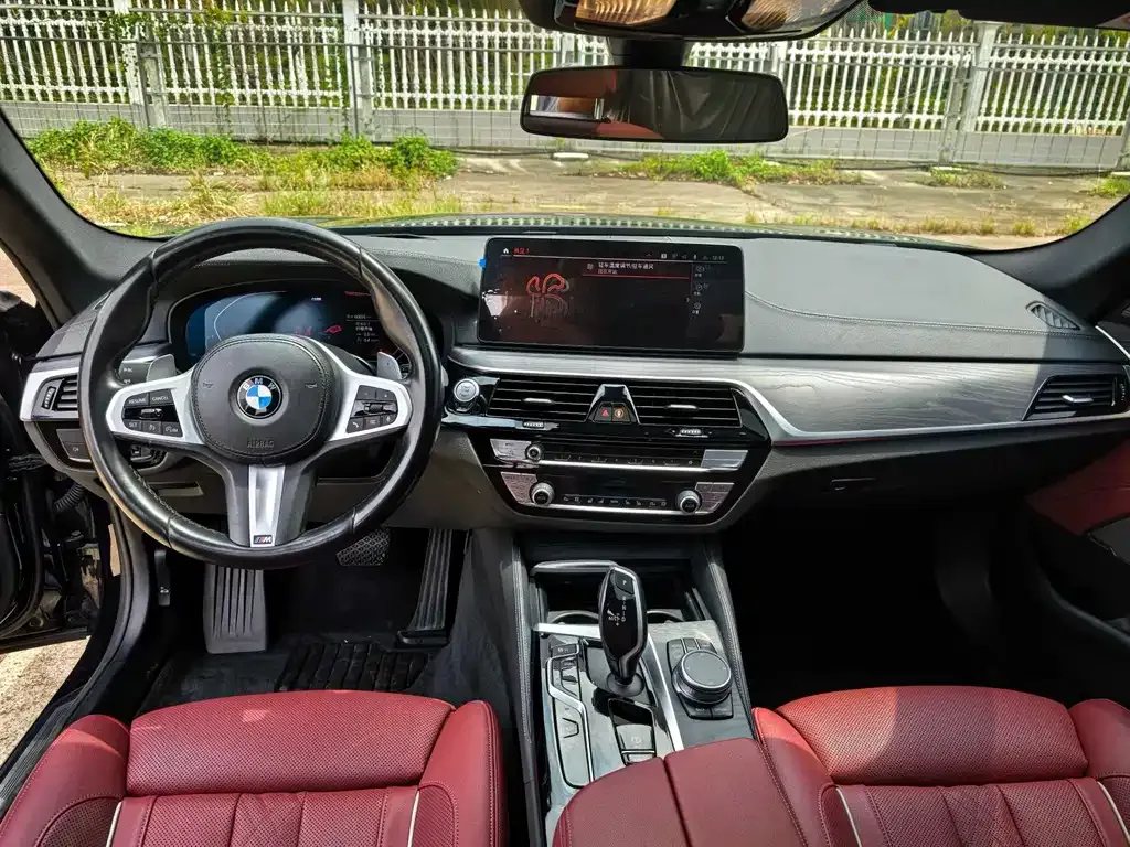 BMW 5 Series 2021 из CN, фото 6