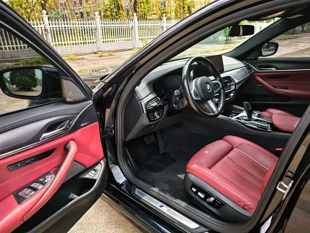 BMW 5 Series 2021 из CN, фото 7