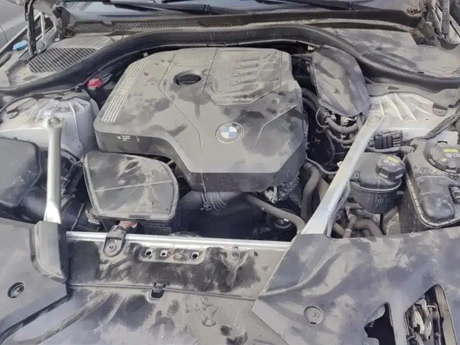 BMW 5 Series 2021 из CN, фото 10