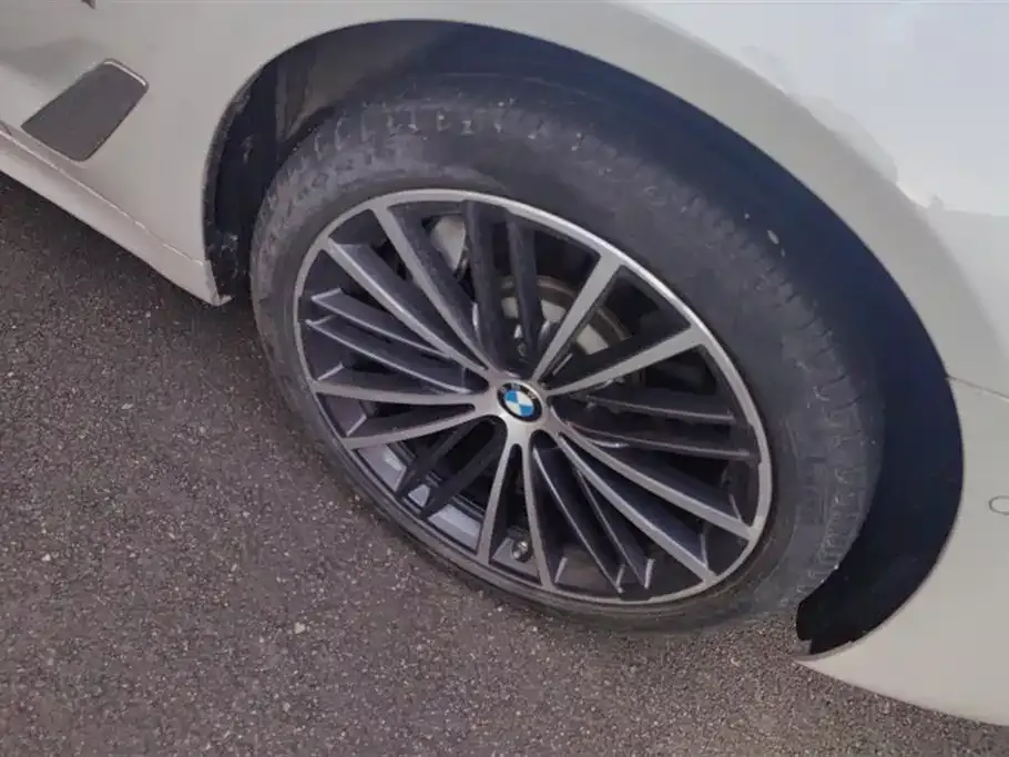 BMW 5 Series 2021 из CN, фото 6