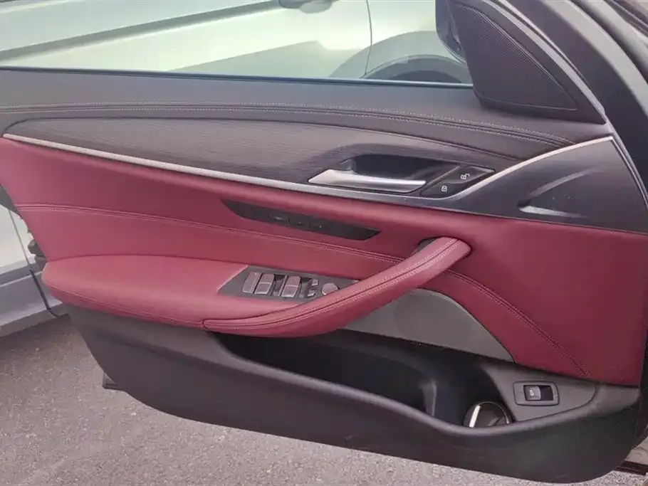 BMW 5 Series 2021 из CN, фото 7