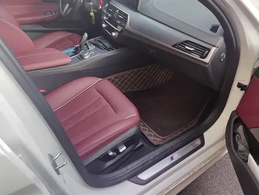 BMW 5 Series 2021 из CN, фото 8
