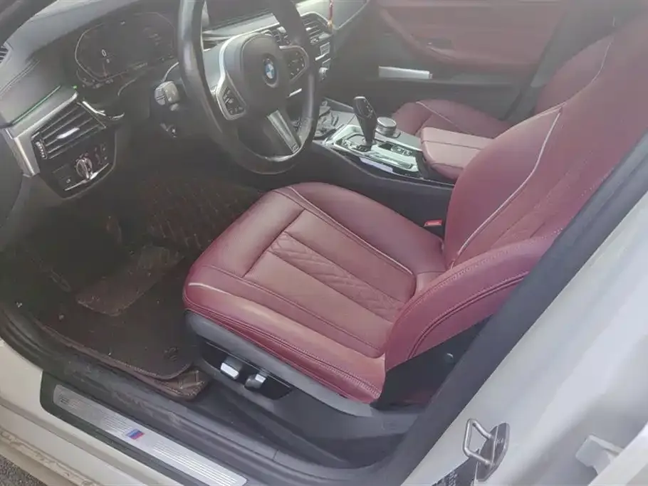 BMW 5 Series 2021 из CN, фото 9