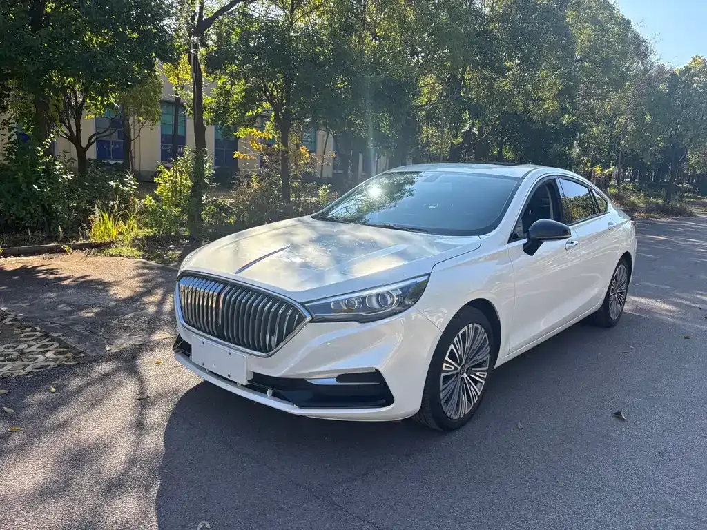 Hongqi H5 2022 из CN, фото 3