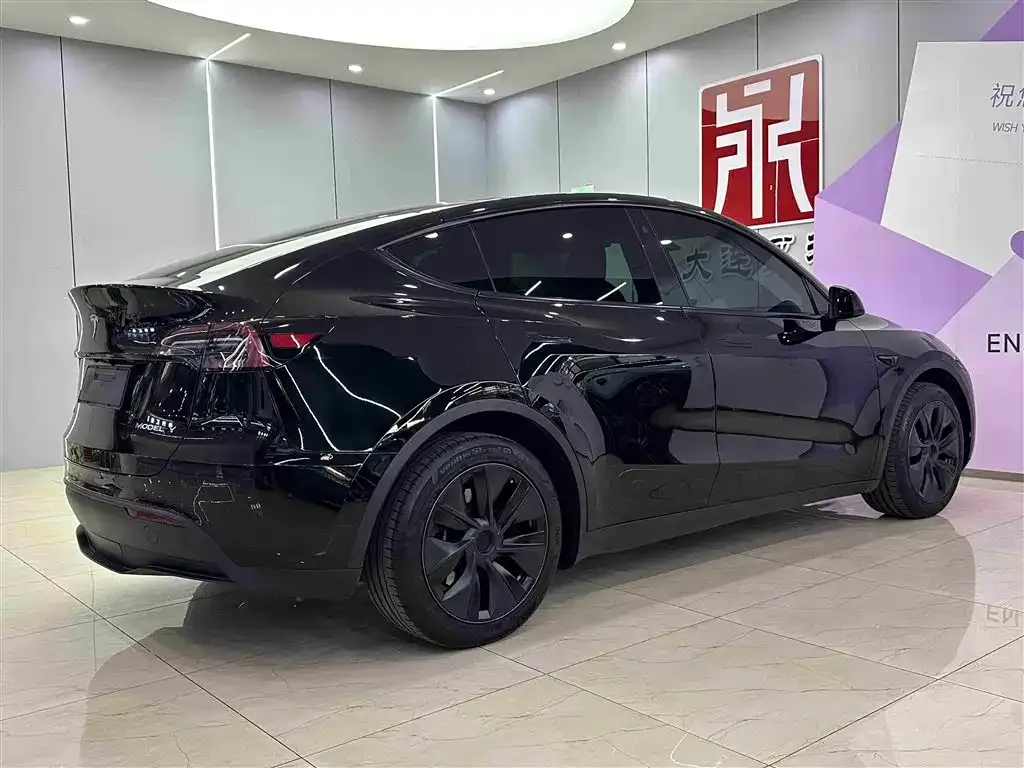 Tesla Model Y 2024 из CN, фото 6