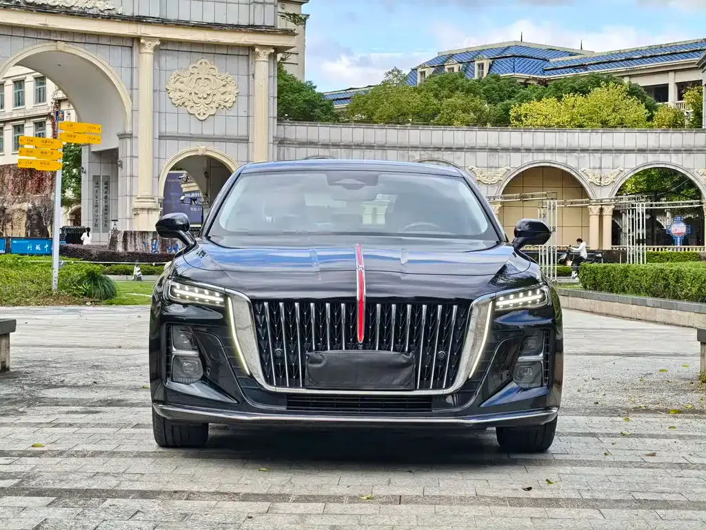 Hongqi H5 2023 из CN, фото 2
