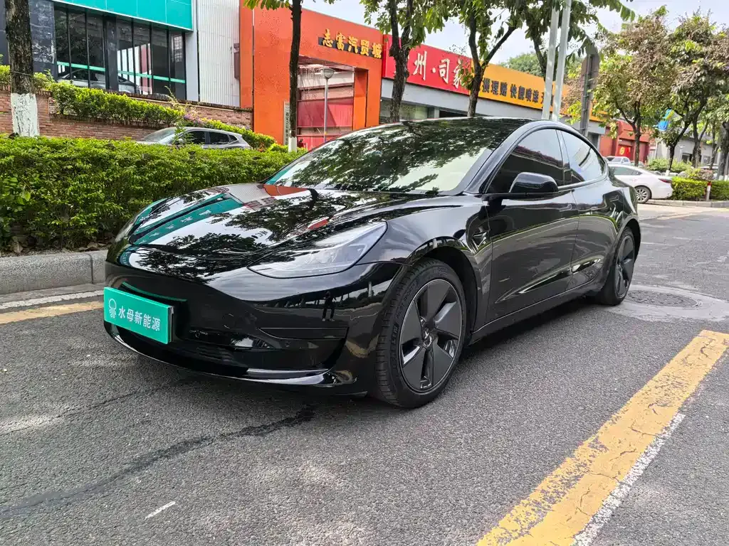 Tesla Model 3 2021 из CN, фото 1