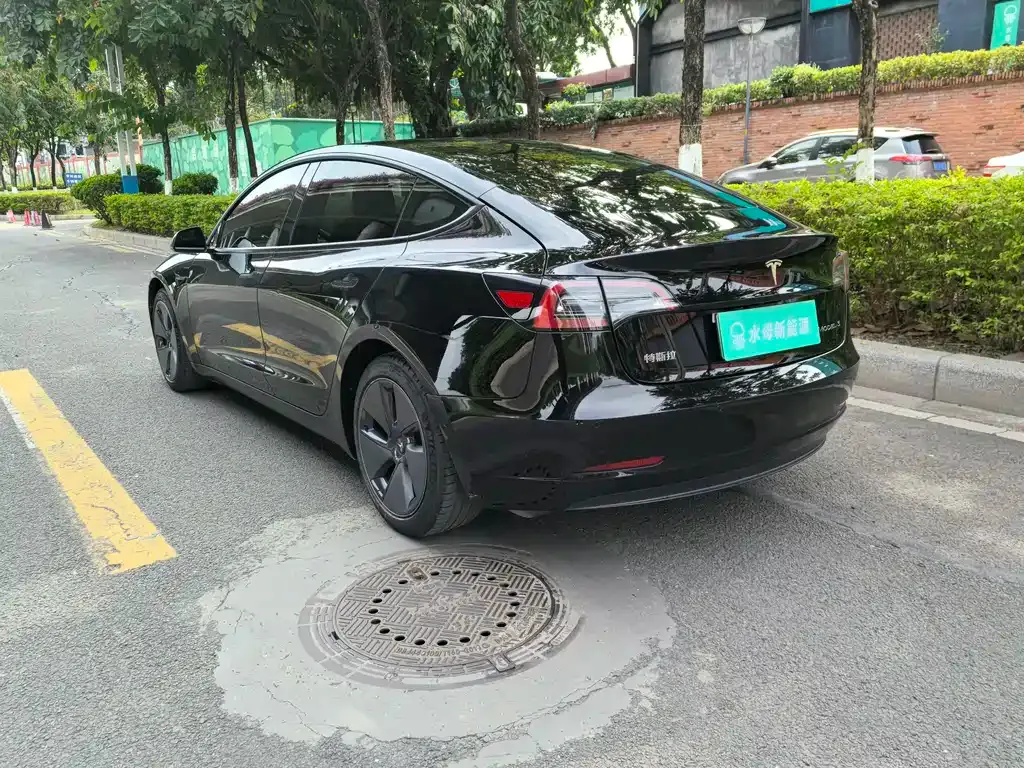 Tesla Model 3 2021 из CN, фото 10
