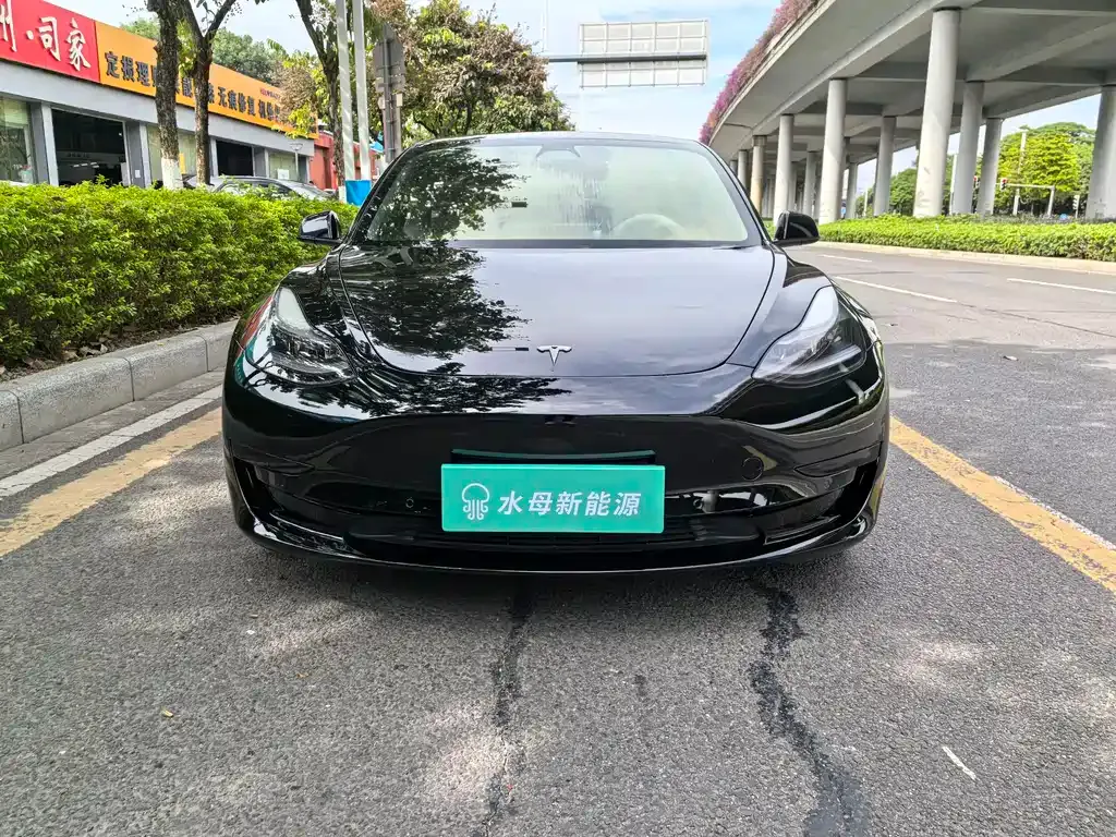Tesla Model 3 2021 из CN, фото 2
