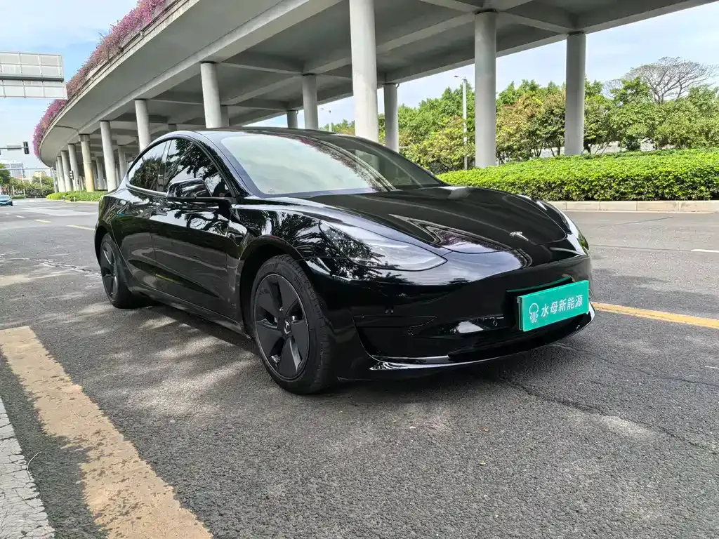 Tesla Model 3 2021 из CN, фото 3