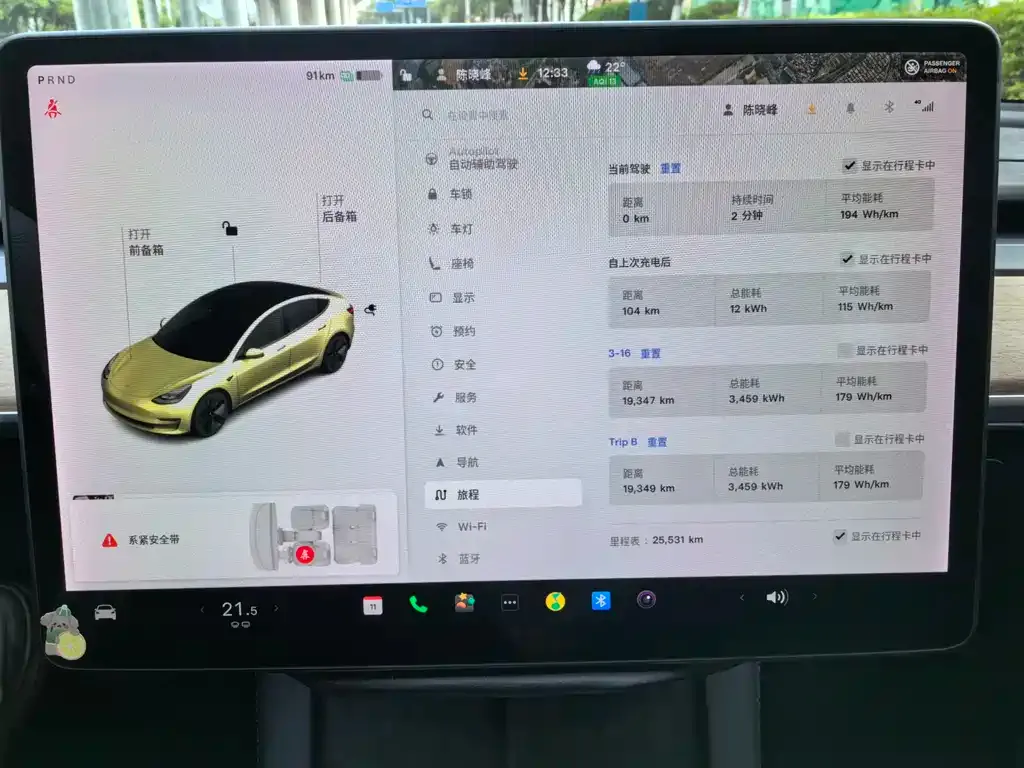 Tesla Model 3 2021 из CN, фото 4