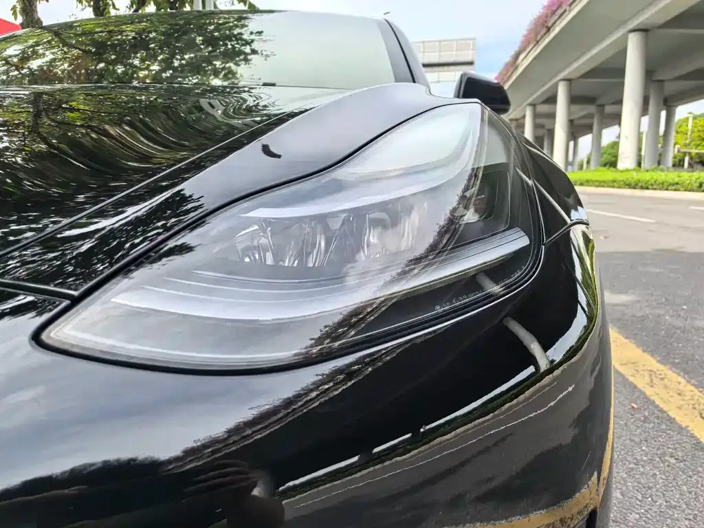 Tesla Model 3 2021 из CN, фото 5