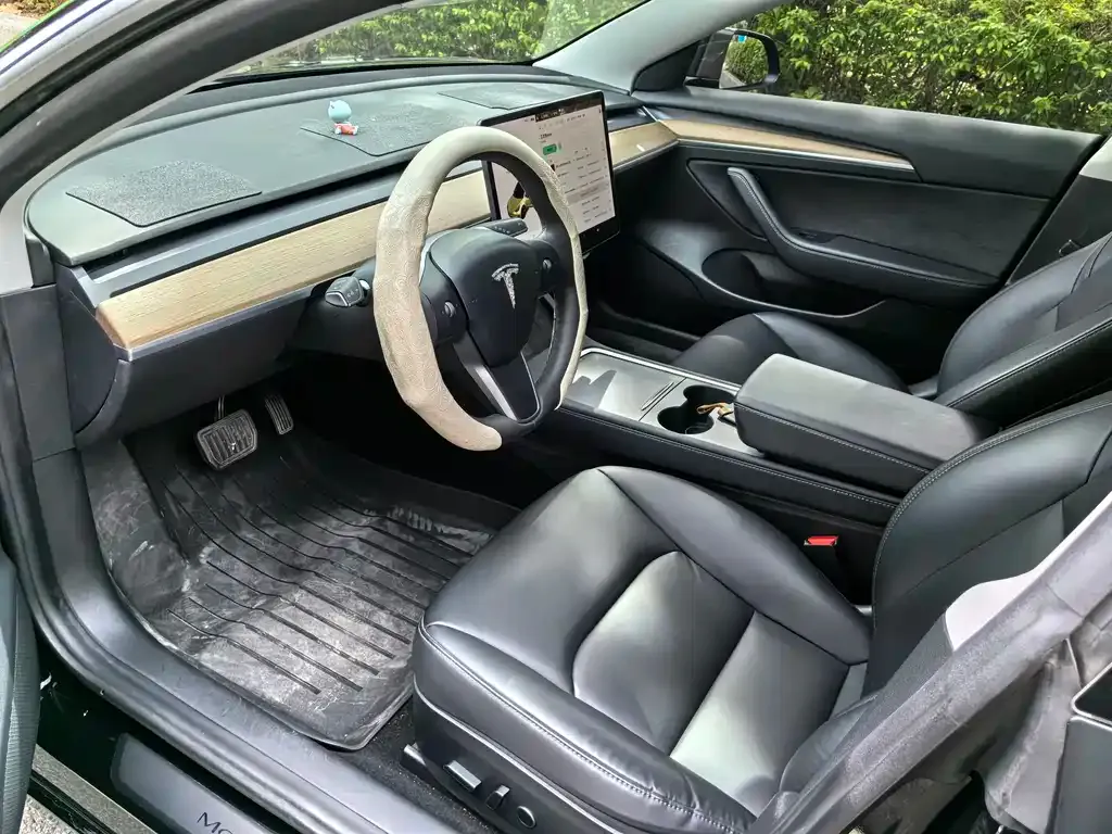 Tesla Model 3 2021 из CN, фото 7