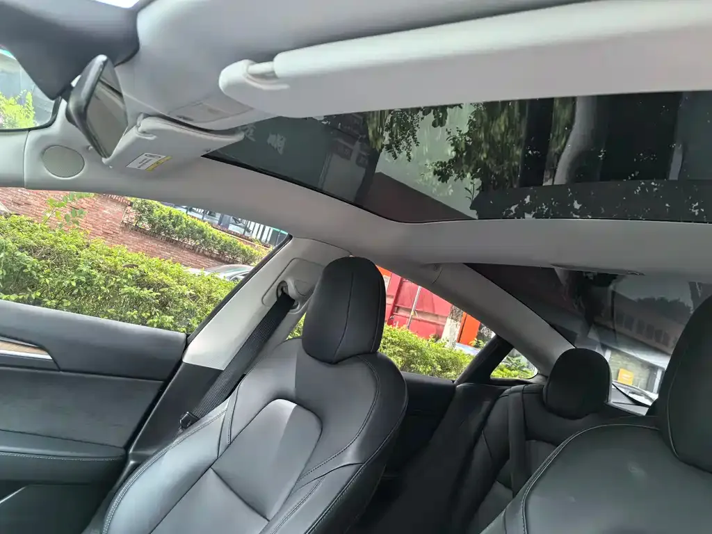 Tesla Model 3 2021 из CN, фото 8
