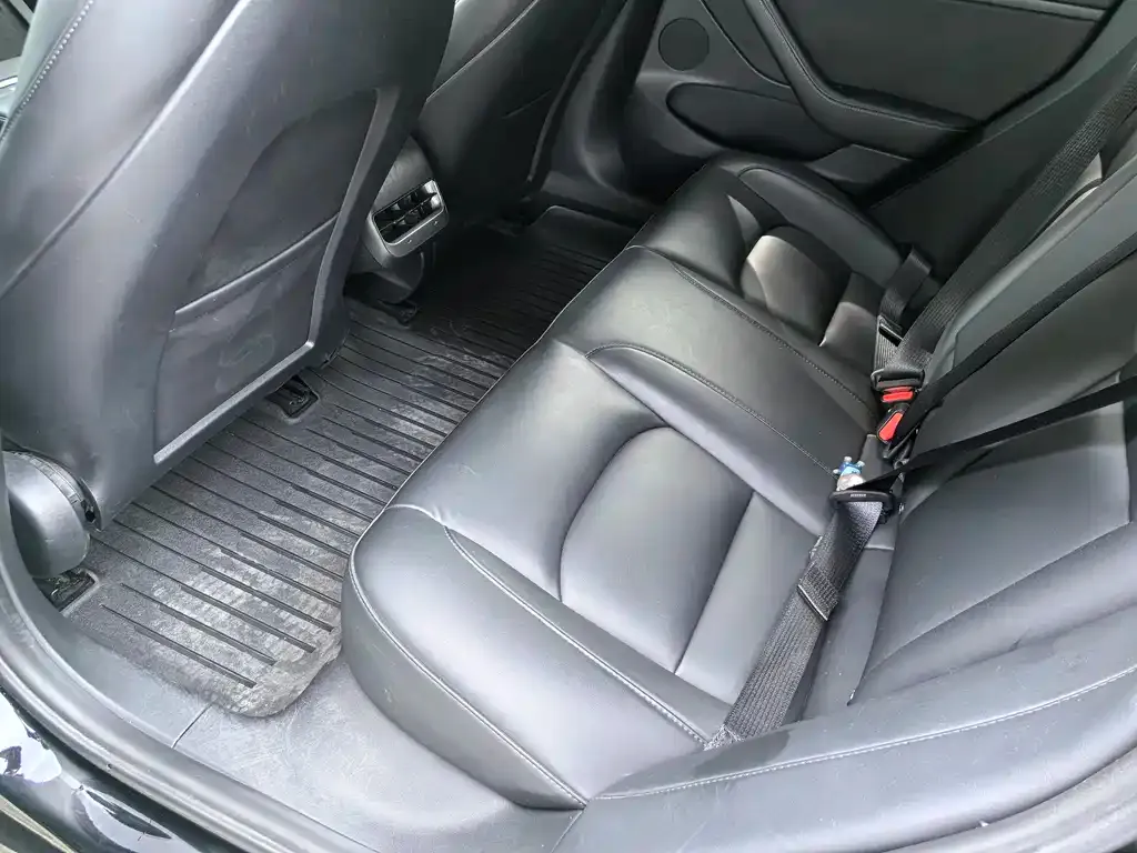 Tesla Model 3 2021 из CN, фото 9