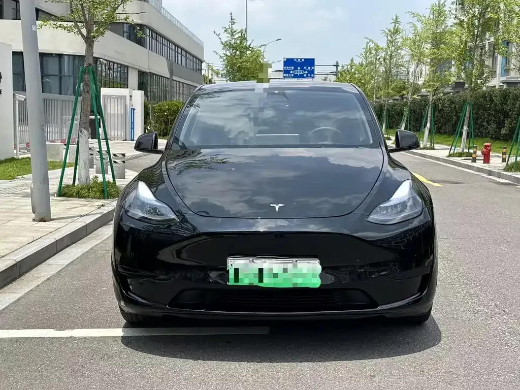 Tesla Model Y — фото 2