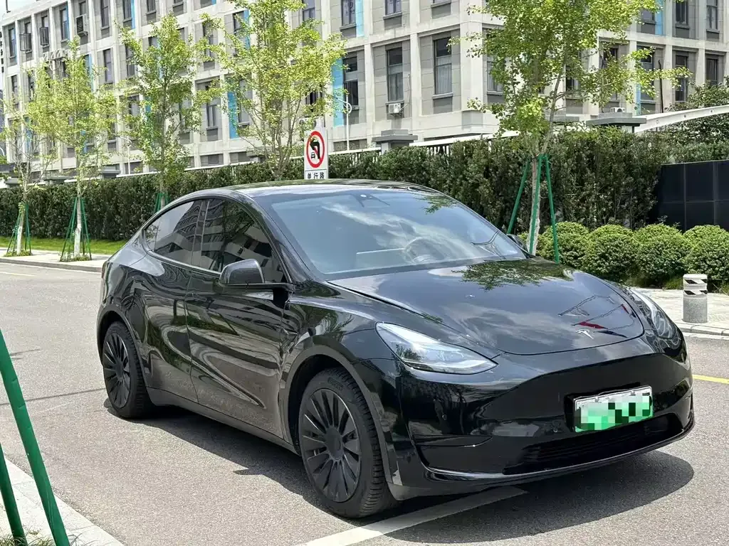 Tesla Model Y — фото 3