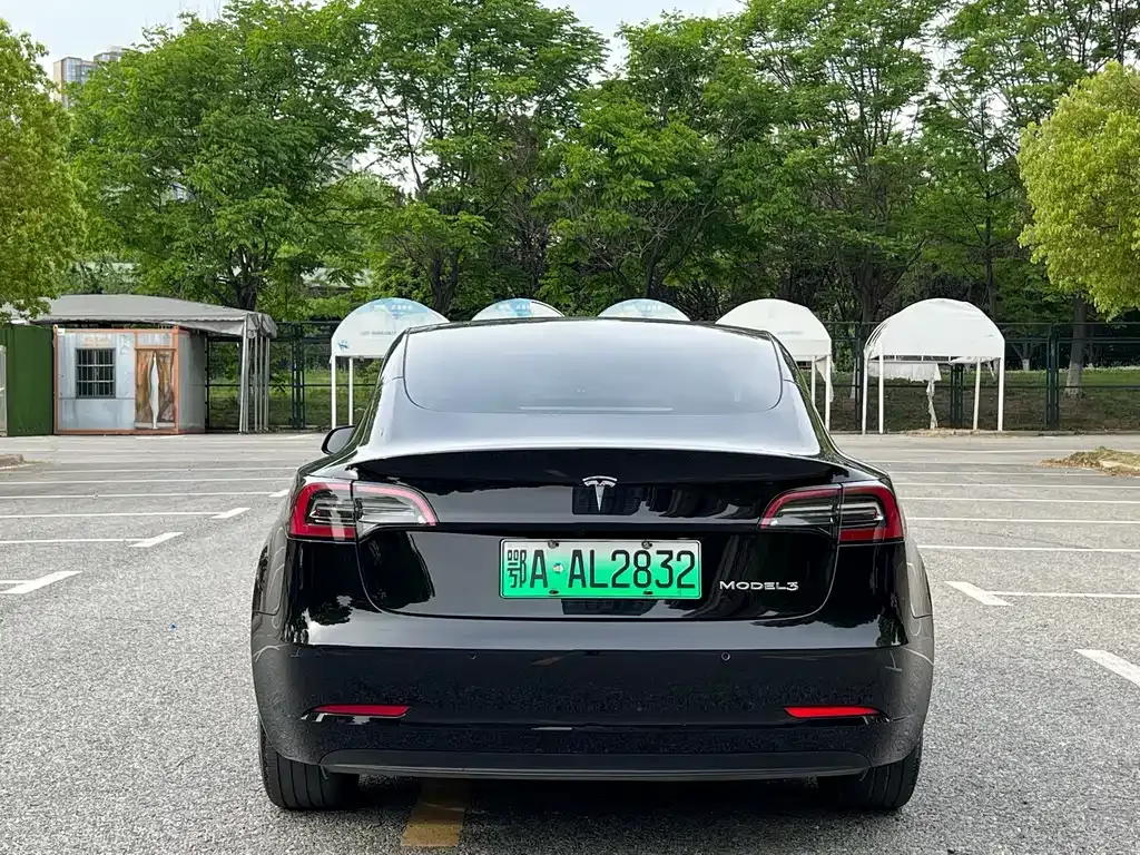 Tesla Model 3 2023 из CN, фото 6