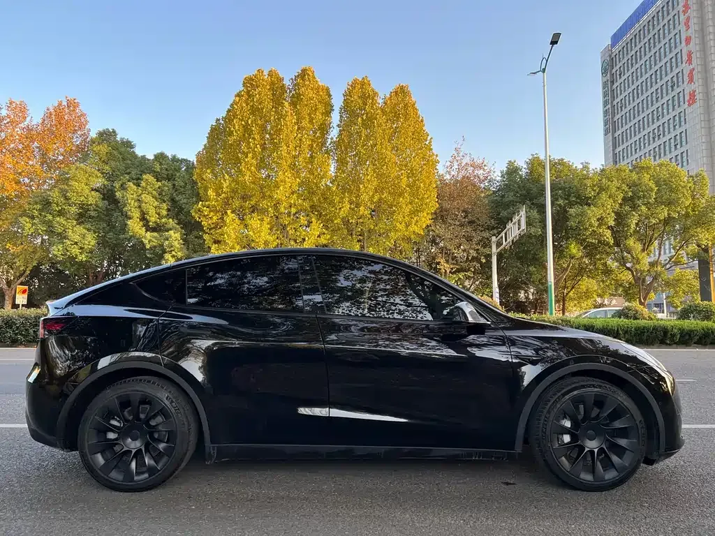 Tesla Model Y 2022 из CN, фото 5