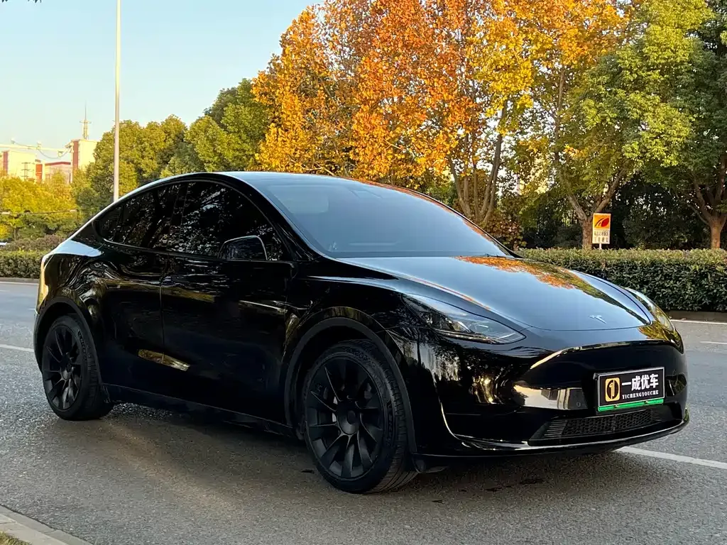 Tesla Model Y 2022 из CN, фото 6