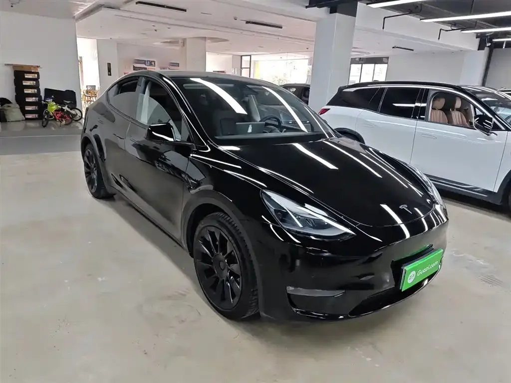 Tesla Model Y 2021 из CN, фото 4
