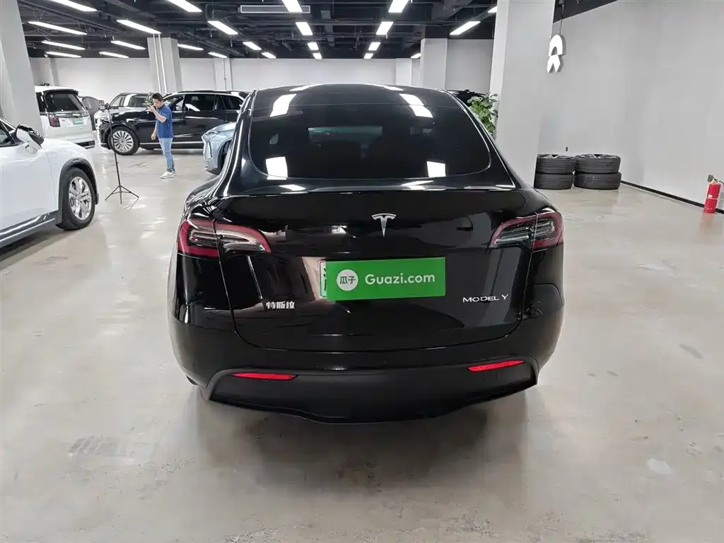 Tesla Model Y 2021 из CN, фото 6
