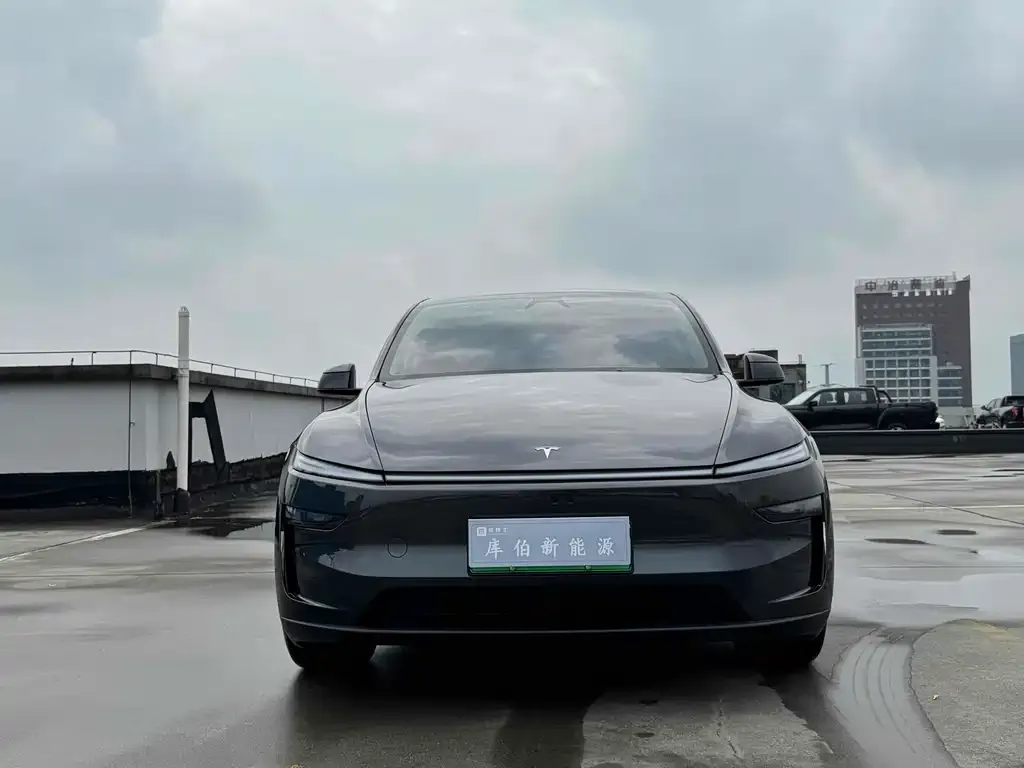 Tesla Model Y 2025 из CN, фото 2