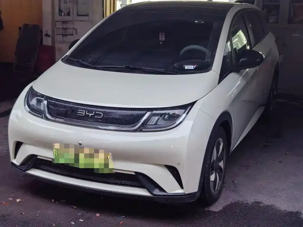 BYD Dolphin 2024 из CN, фото 1