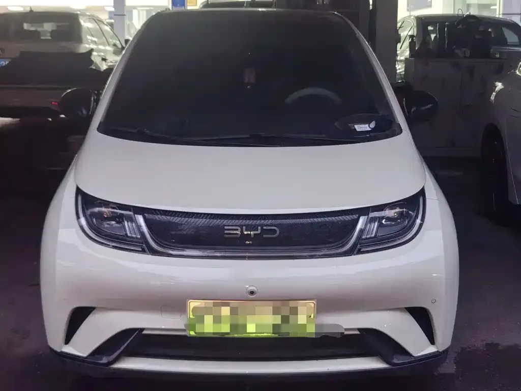 BYD Dolphin 2024 из CN, фото 2