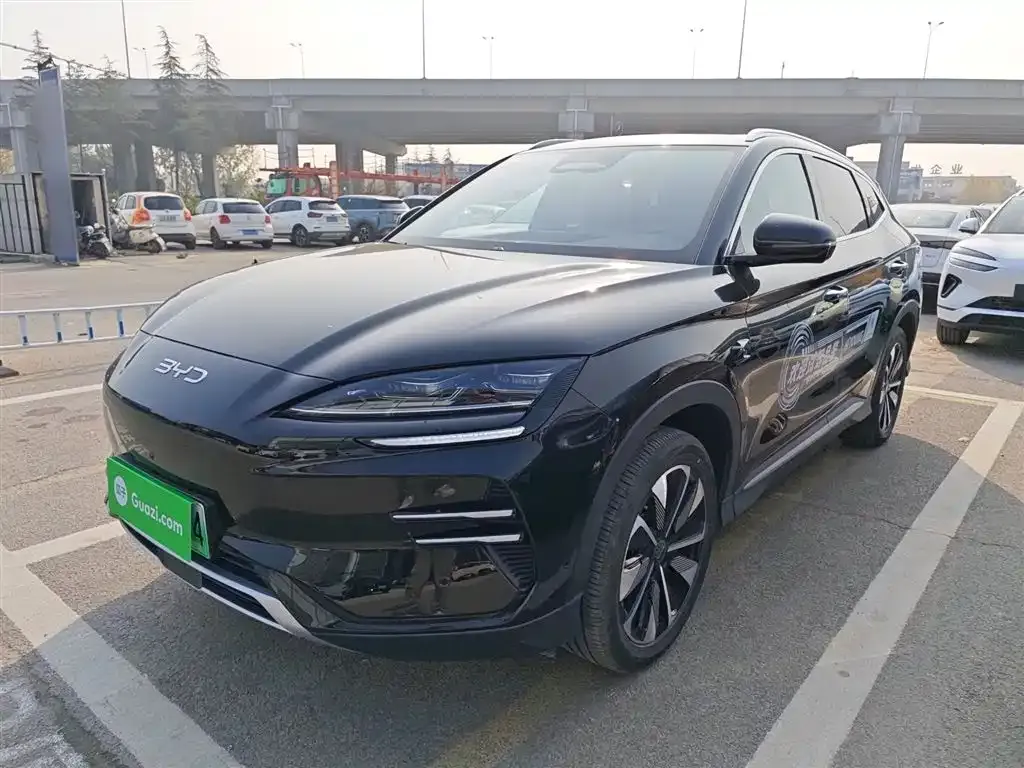 BYD PLUS New Energy — фото 1