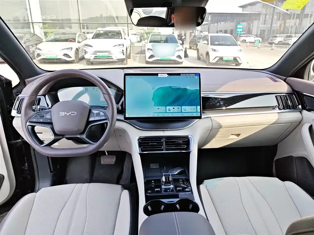 BYD PLUS New Energy — фото 10