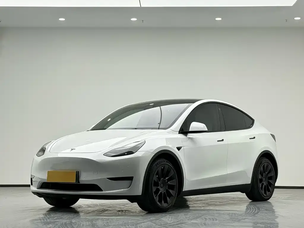 Tesla Model Y 2021 из CN, фото 1