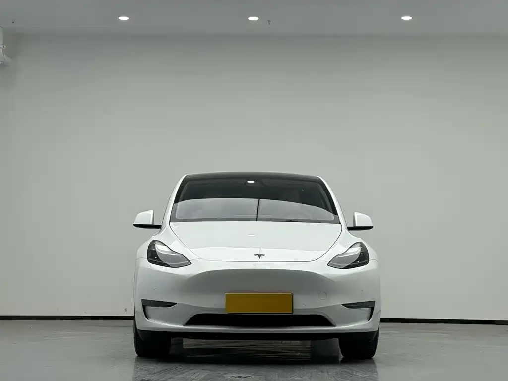 Tesla Model Y 2021 из CN, фото 2