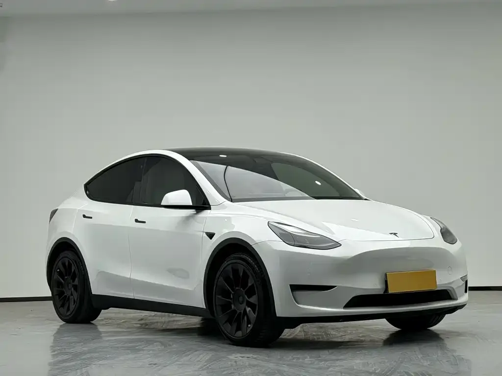Tesla Model Y 2021 из CN, фото 3