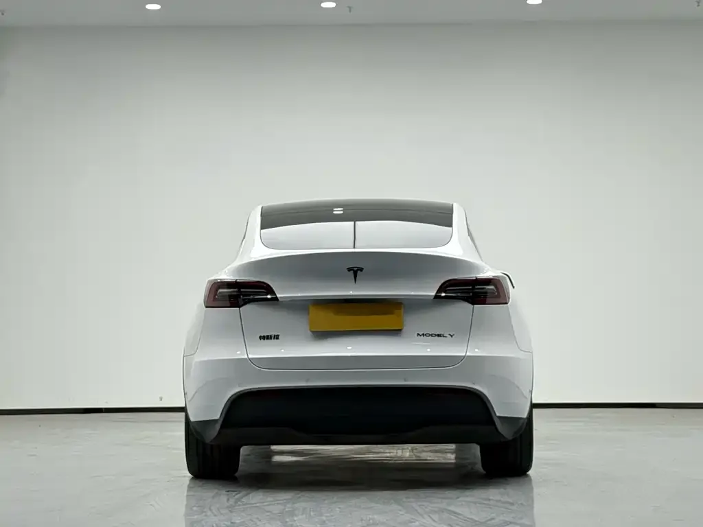 Tesla Model Y 2021 из CN, фото 4