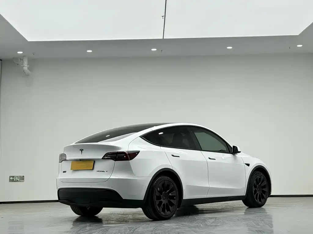 Tesla Model Y 2021 из CN, фото 5