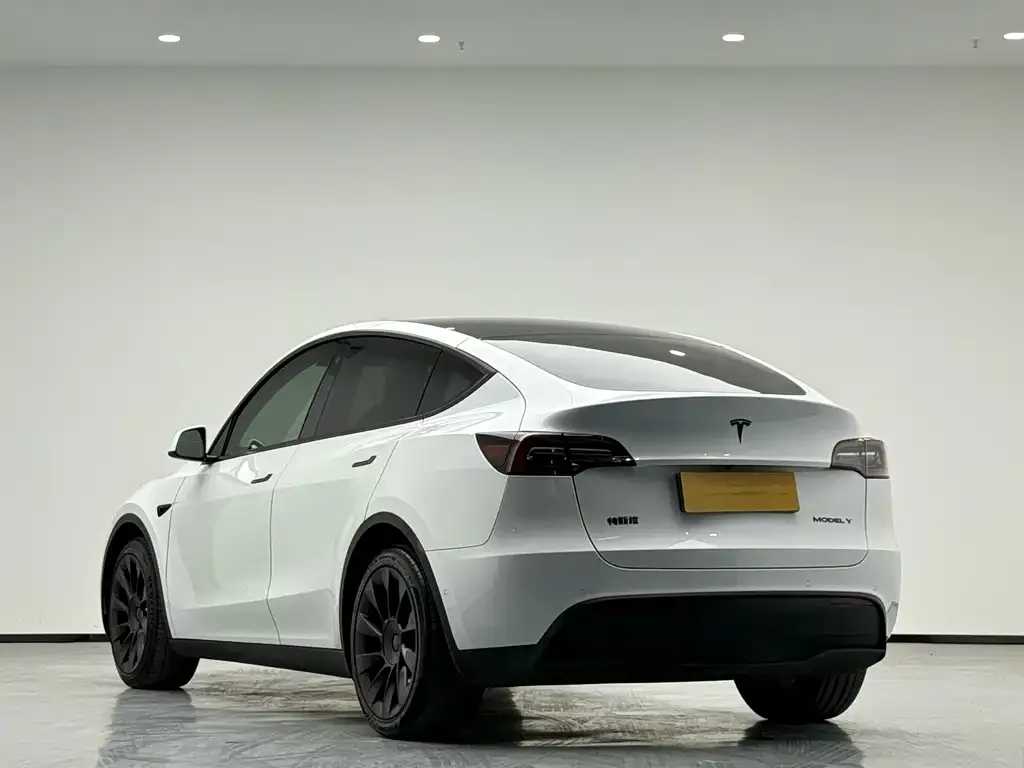 Tesla Model Y 2021 из CN, фото 6