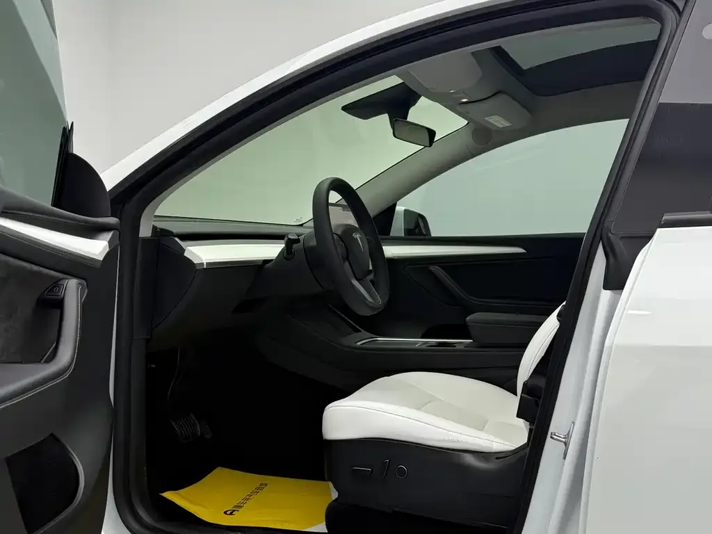 Tesla Model Y 2021 из CN, фото 7