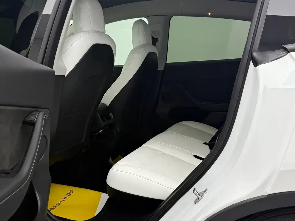 Tesla Model Y 2021 из CN, фото 8