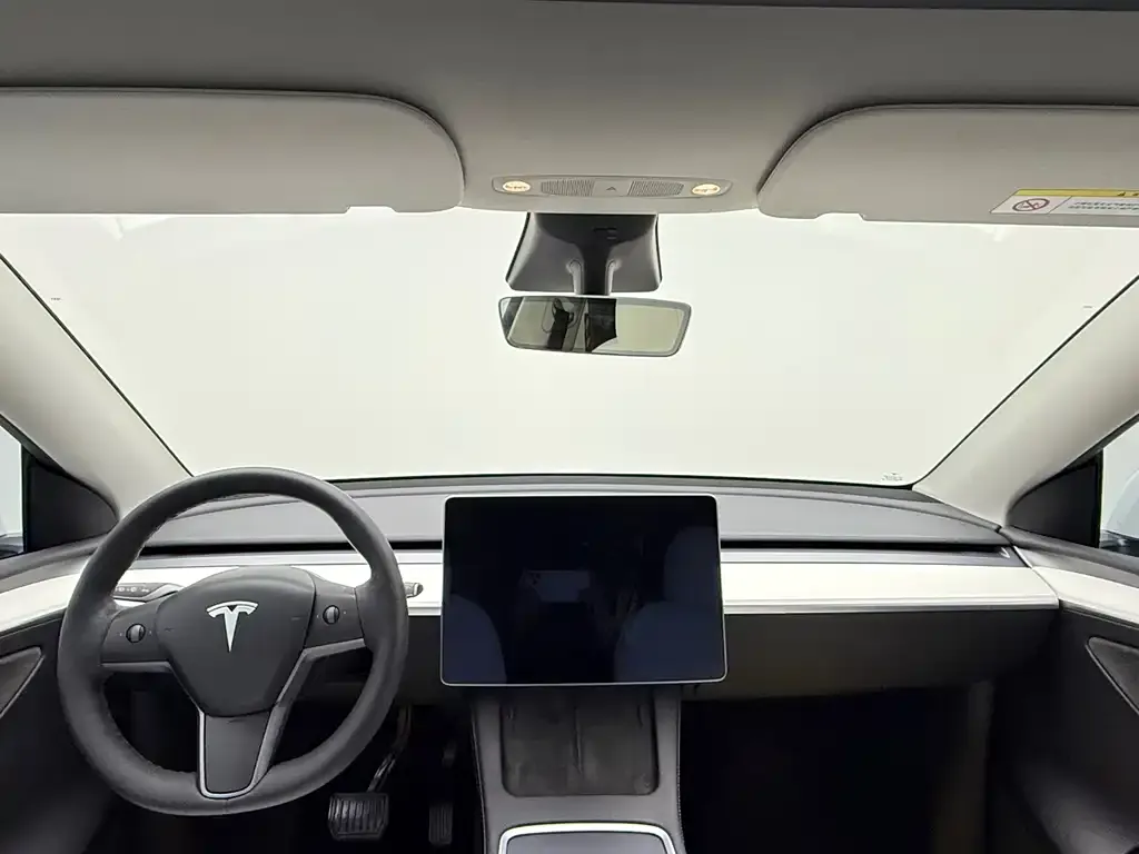 Tesla Model Y 2021 из CN, фото 9